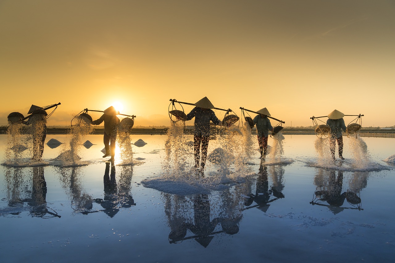 魚缸海景布景圖片高清豎屏（魚缸立體背景圖大全） 噴點(diǎn)菠蘿魚 第2張