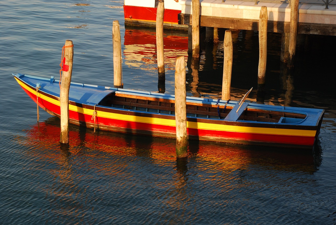 鯊魚和鱷魚哪個(gè)咬合力大一些（鱷魚鯊魚咬的區(qū)別） 造景/裝飾 第1張