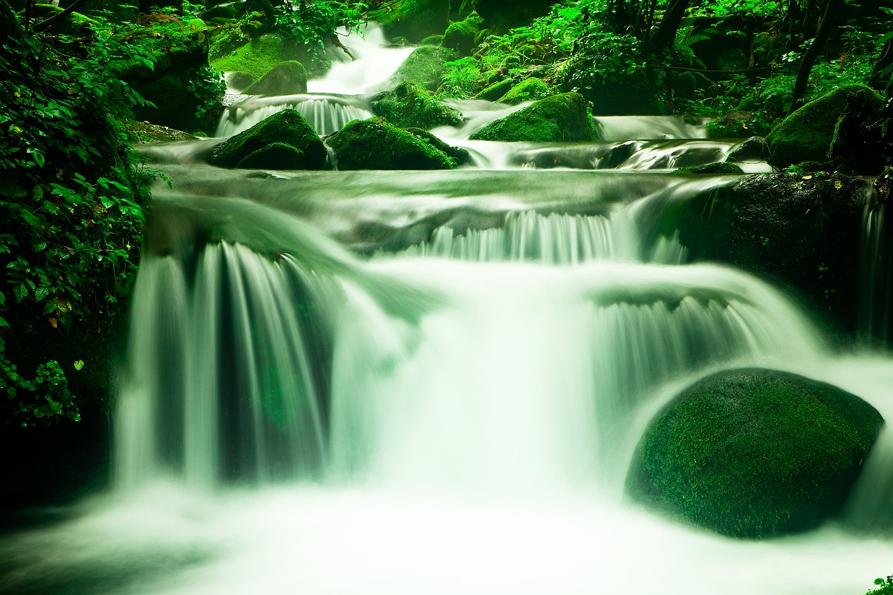 魚缸里的水長(zhǎng)青苔是怎么回事兒