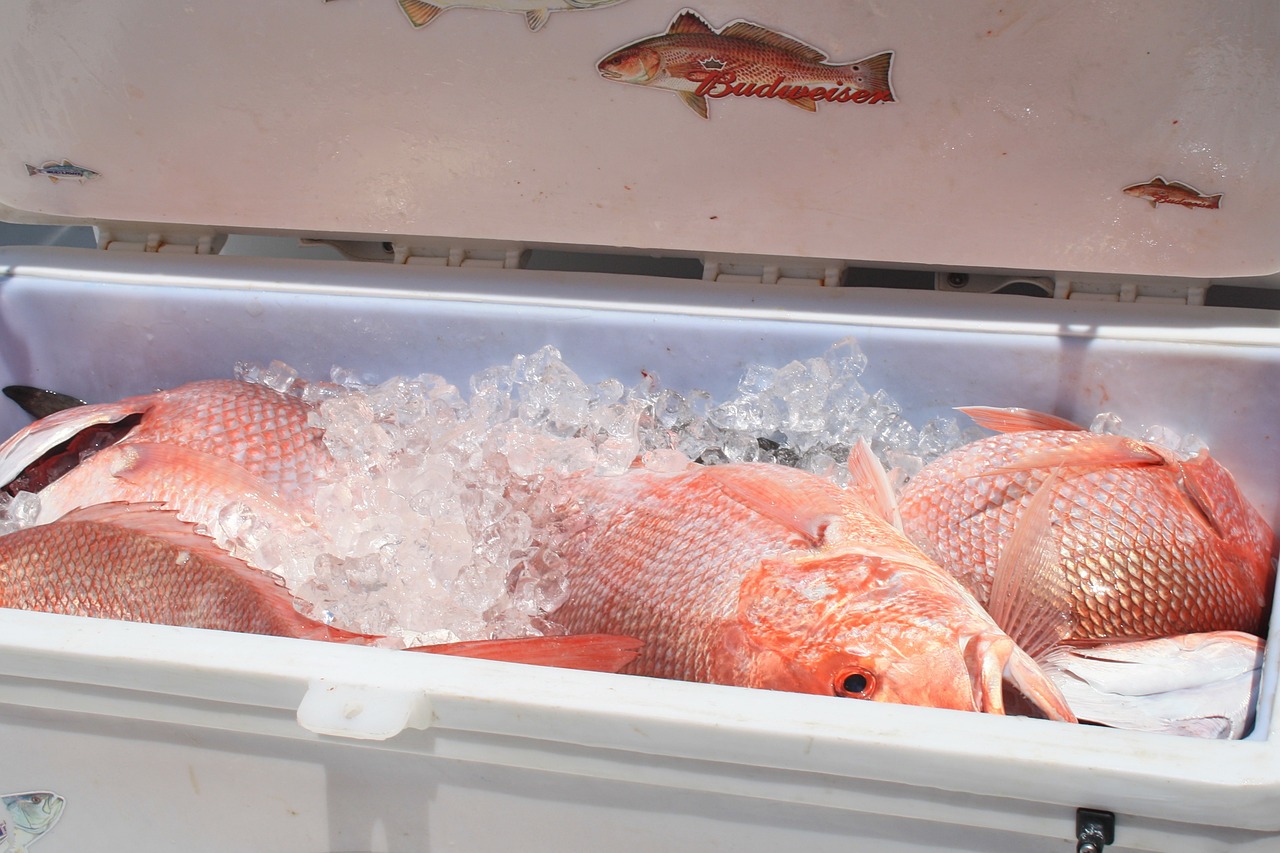 龍魚受驚嚇后不吃食怎么辦（龍魚驚嚇到精神不好怎么辦） 祥龍赫舞紅龍魚 第3張