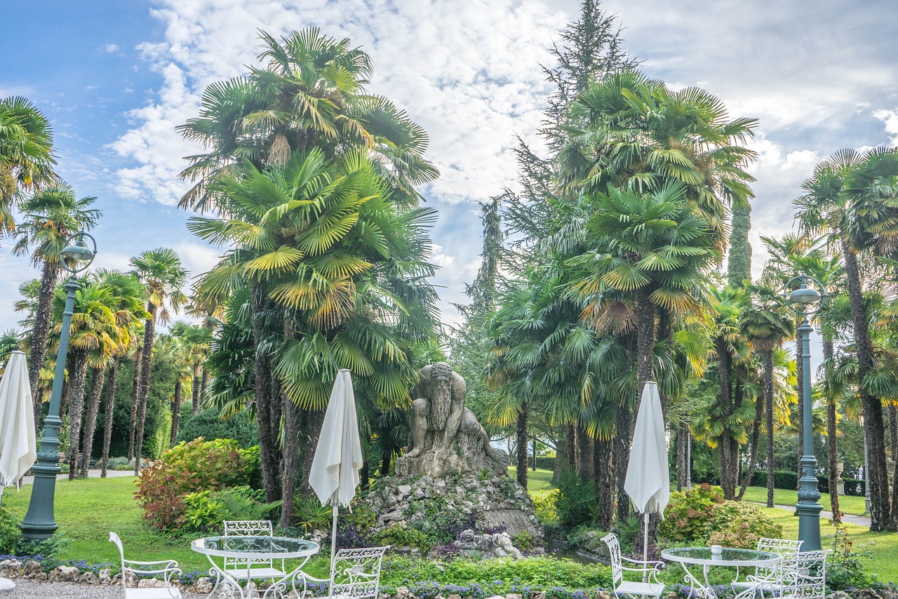 桂林市七星區(qū)春森花木園（桂林市七星區(qū)春森花木園地址） 全國水族館企業(yè)名錄 第2張