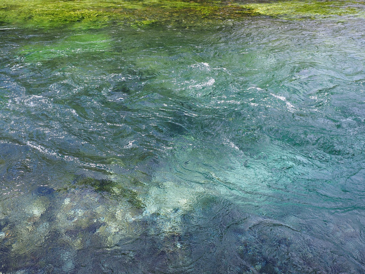 魚缸中水渾濁過不清怎么回事兒的簡單介紹 養(yǎng)魚知識 第4張