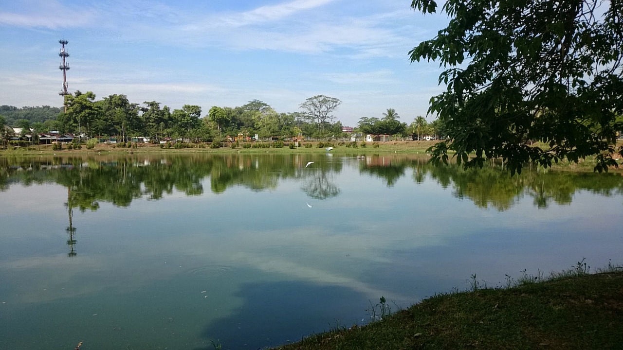 柳州市日日花木園（柳州市日日花木園地址） 全國水族館企業(yè)名錄 第2張