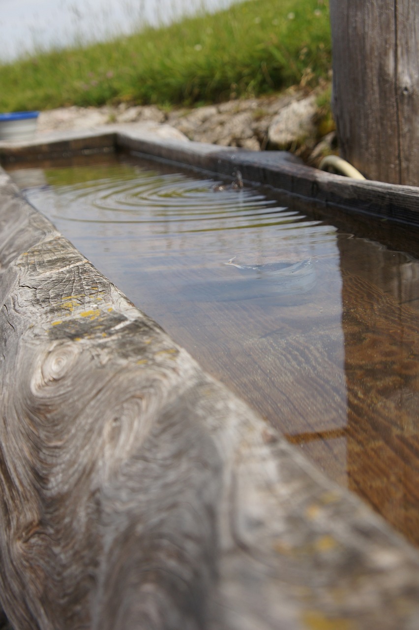 雷龍魚缸造景40方缸多少錢（雷龍魚缸造景40方缸多少錢一個） 觀賞魚 第1張