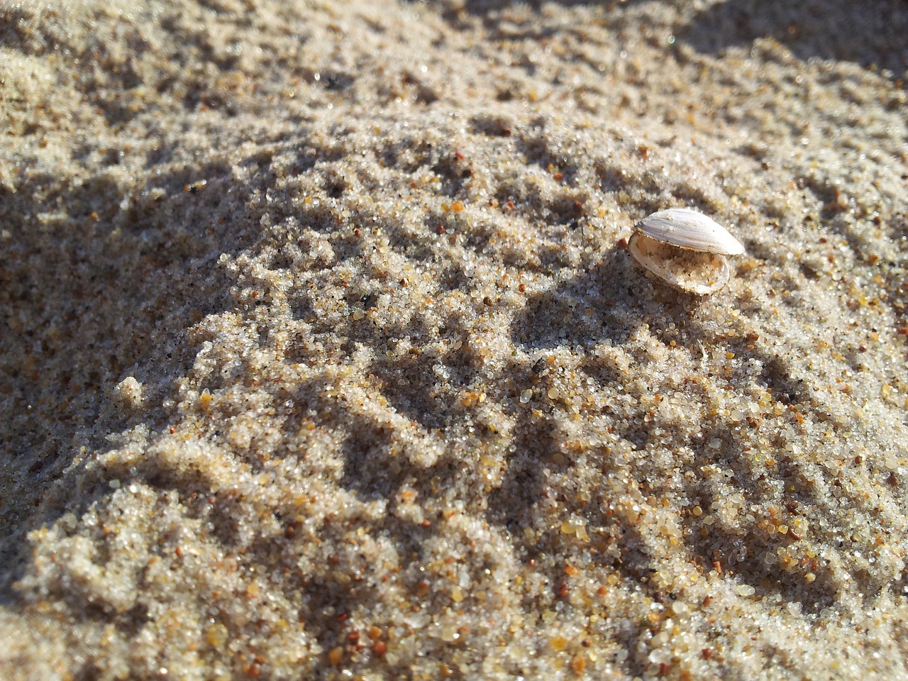 龍魚配虎魚的寓意是什么呢(龍魚和虎魚打架的解決辦法)