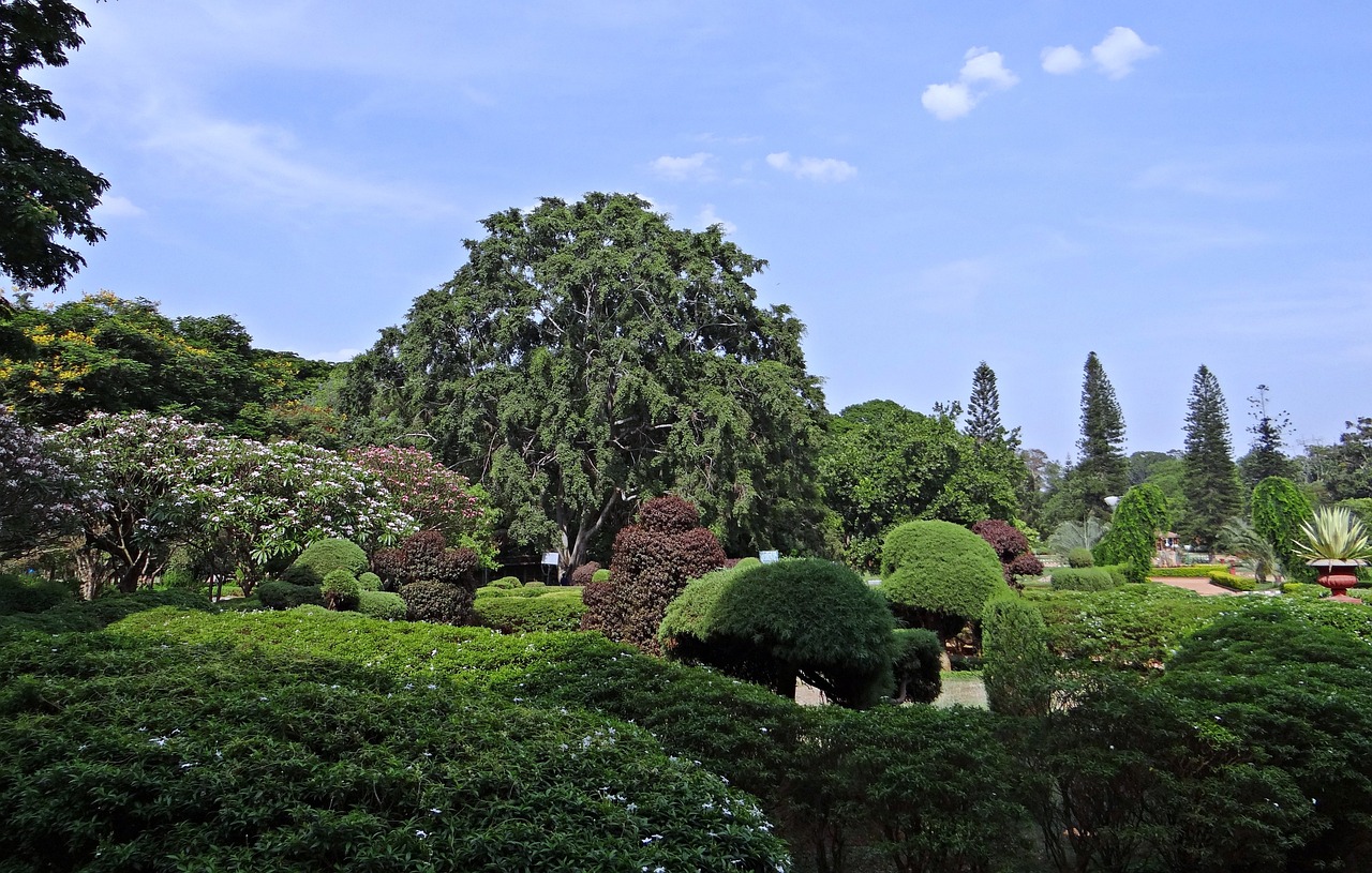 廣西和興園林綠化有限公司（廣西和興園林綠化有限公司招聘）