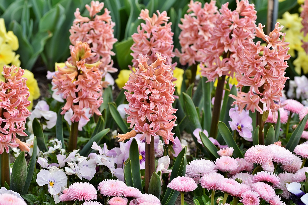 平果縣月祺香花鋪