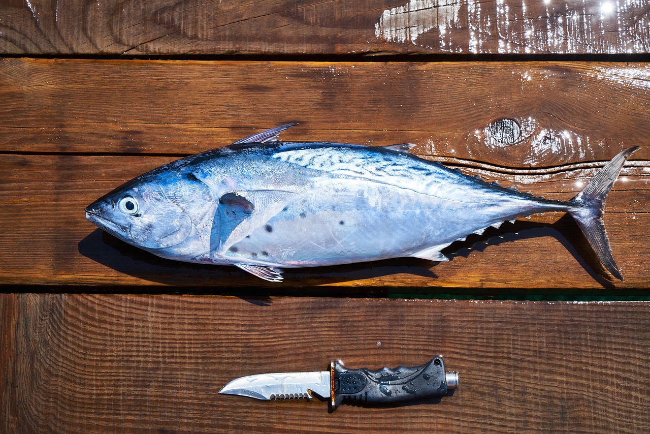 海魚食物中毒怎么解毒（吃海鮮中毒怎么能解毒） 觀賞龜/鱉飼料 第5張