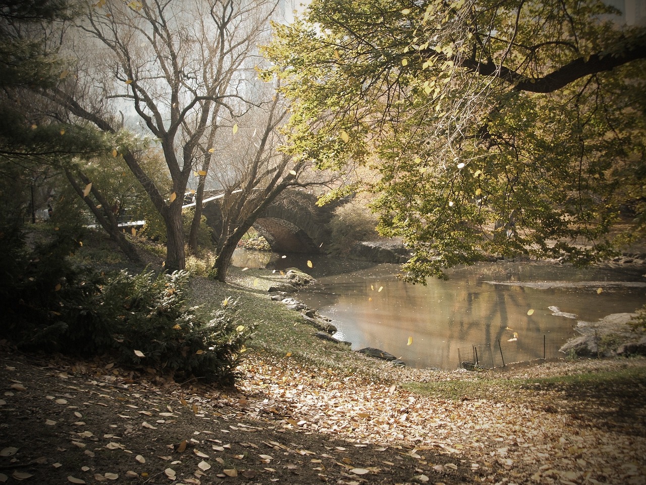 紅水河魚類棲息地有哪些動(dòng)物（紅水河的魚種類） 充氧泵 第1張