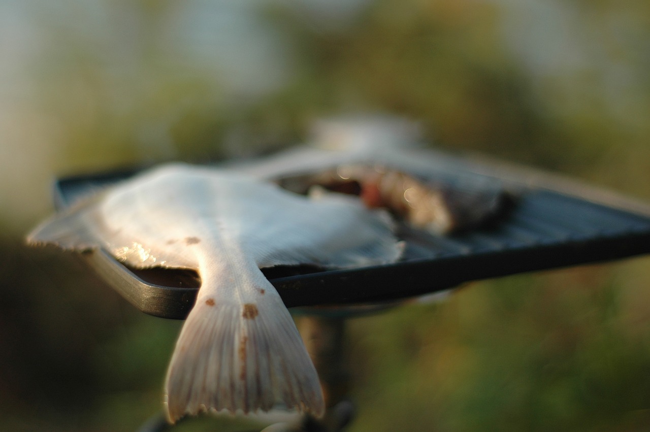 有毒的那種魚(yú)叫什么魚(yú)（有毒的那種魚(yú)叫什么魚(yú)圖片） 魚(yú)缸定做 第2張