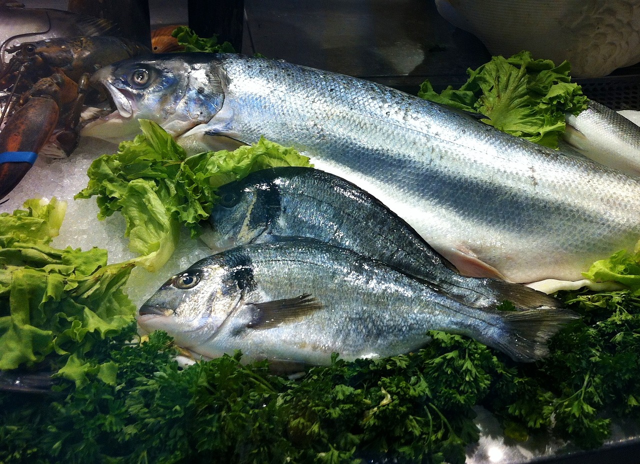 東莞最大的花鳥魚市場在哪里（東莞哪里有花鳥魚市場） 白子銀版魚 第4張