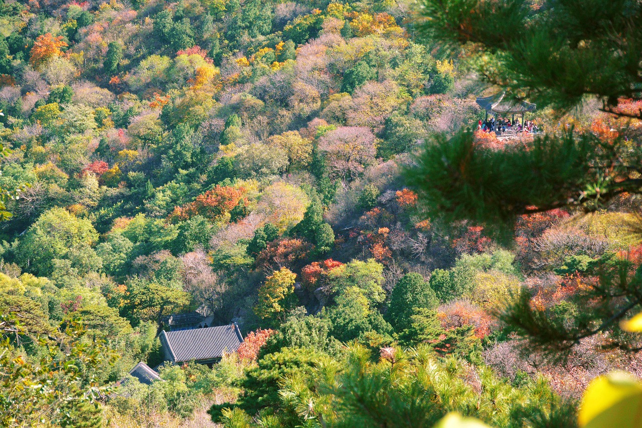 周村金土地生態(tài)園（金土地生態(tài)園門(mén)票價(jià)格）