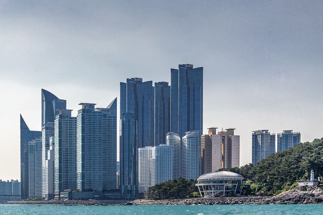 深圳市贏百贏實業(yè)有限公司海之海水族分公司（深圳海贏國際） 全國水族館企業(yè)名錄 第5張