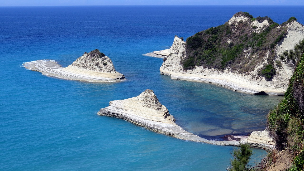 鯊魚(yú)英文是什么單詞（鯊魚(yú)英文是什么單詞怎么寫(xiě)）