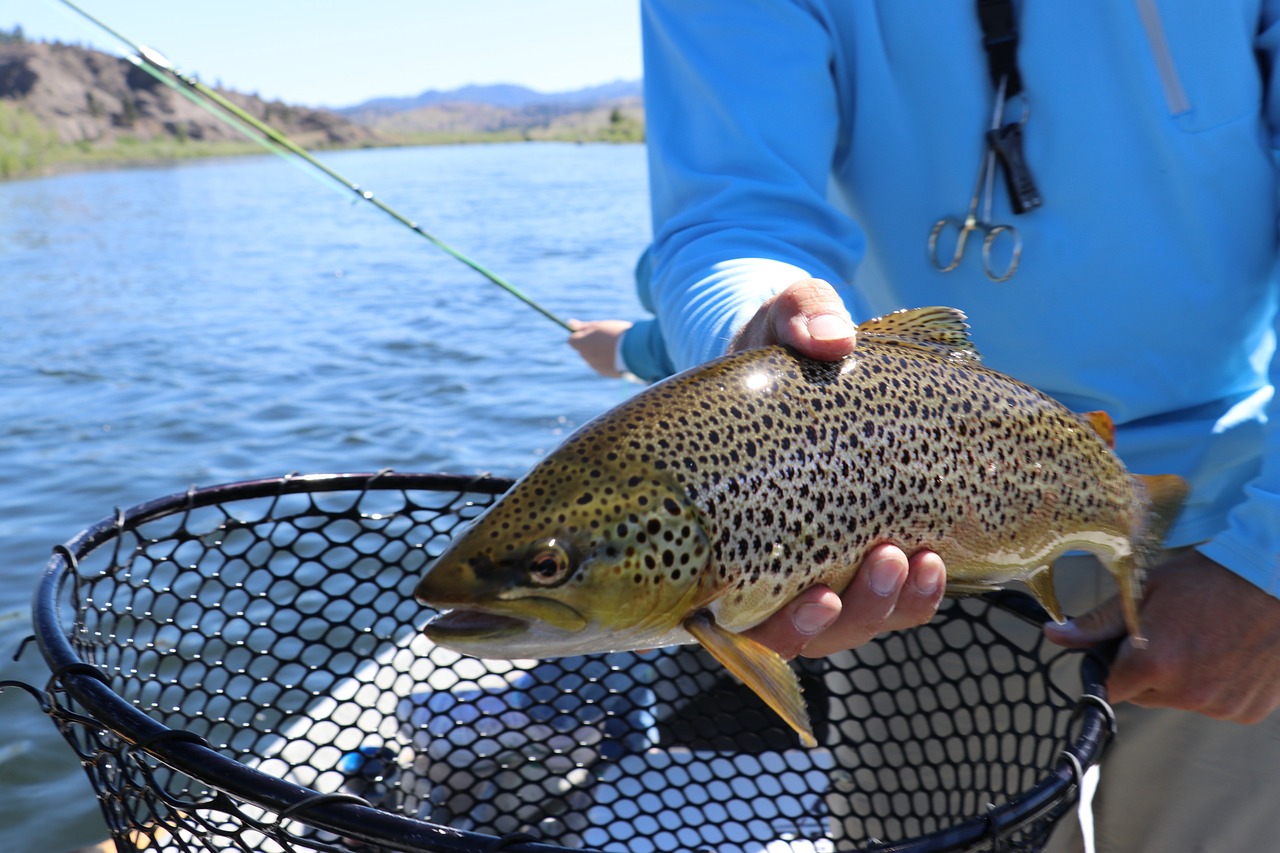 魚(yú)缸過(guò)濾器不出水怎么回事（魚(yú)缸過(guò)濾器不出水怎么回事兒）