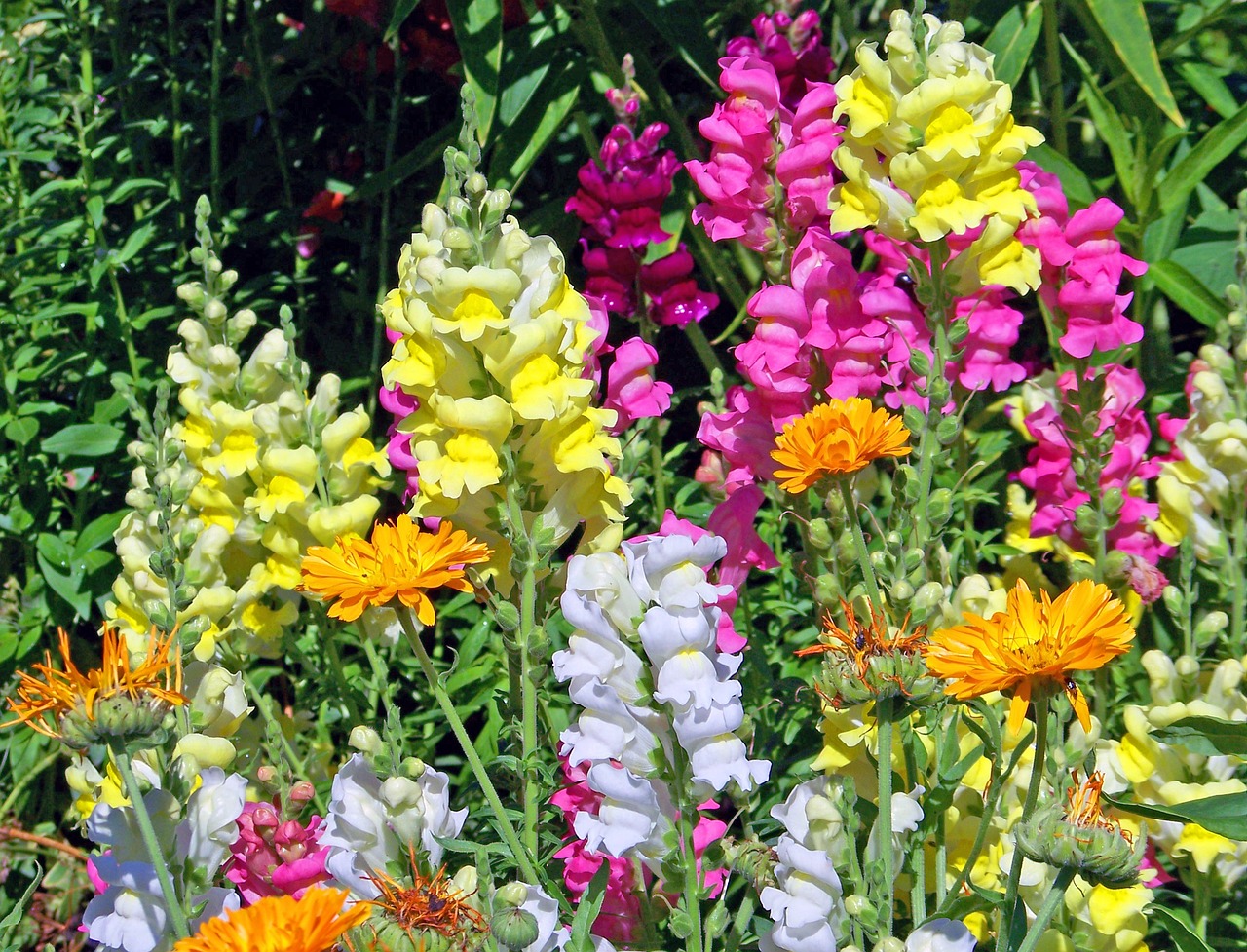 當陽市玉陽植彩坊花卉經(jīng)營部（當陽市玉陽植彩坊花卉經(jīng)營部電話）