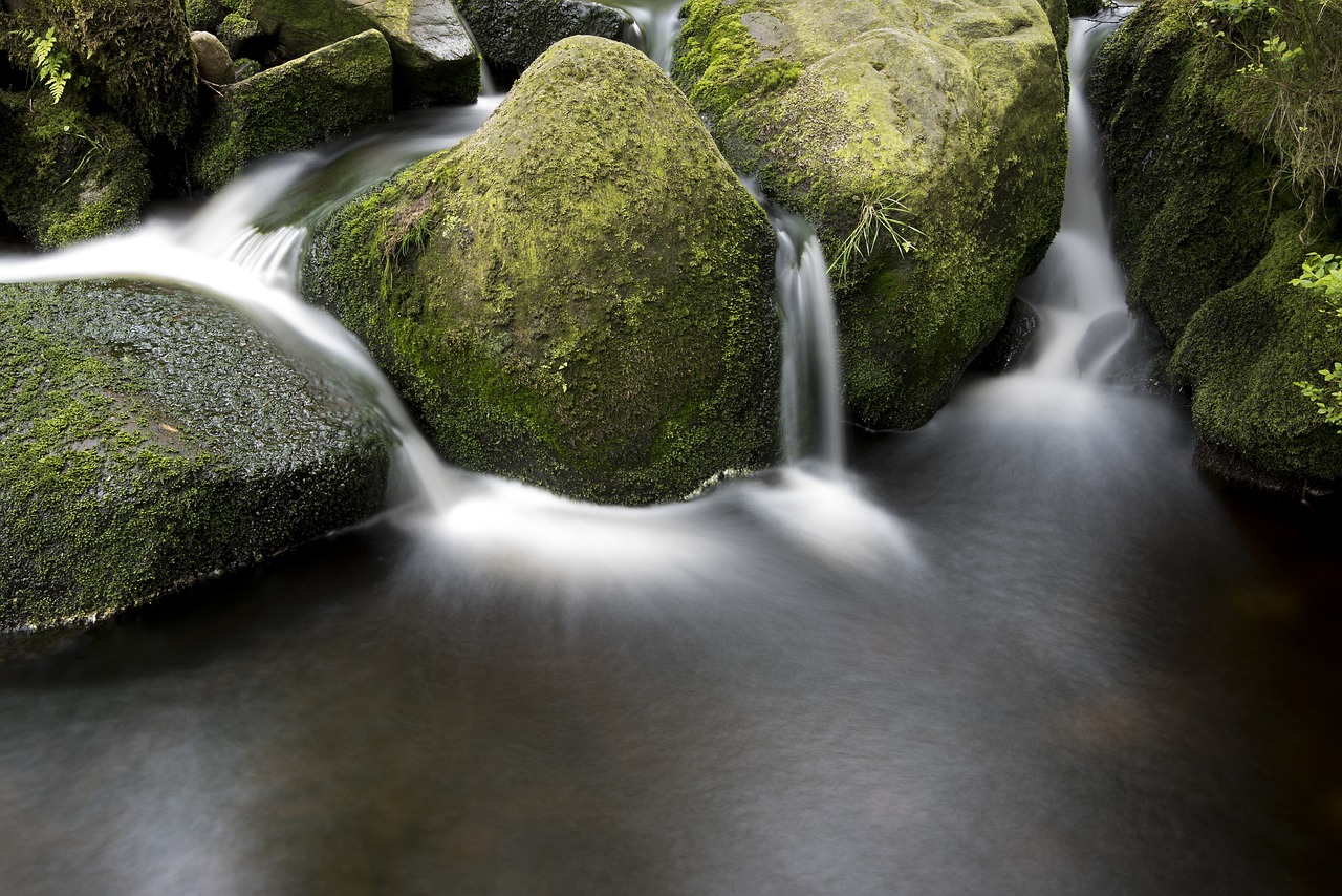 濮陽縣海通鄉(xiāng)光躍養(yǎng)魚場（濮陽縣海通鄉(xiāng)光躍養(yǎng)魚場電話）