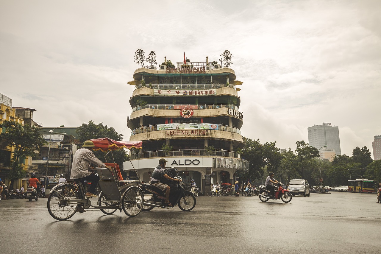 龍魚為什么這么貴（龍魚為何這么貴）