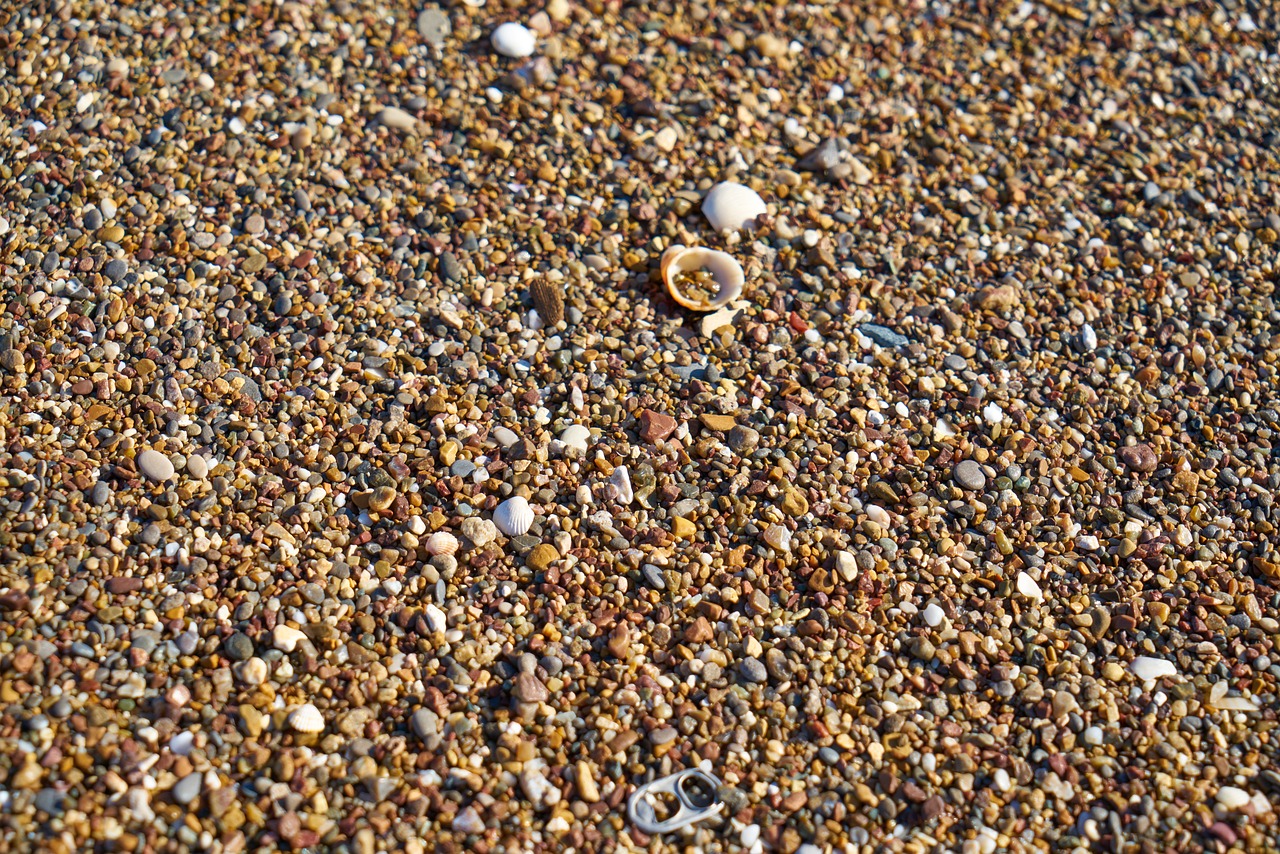 洛陽金龍魚油生產(chǎn)廠家在哪里（金龍魚油廠家地址在哪里） 圖騰金龍魚 第2張