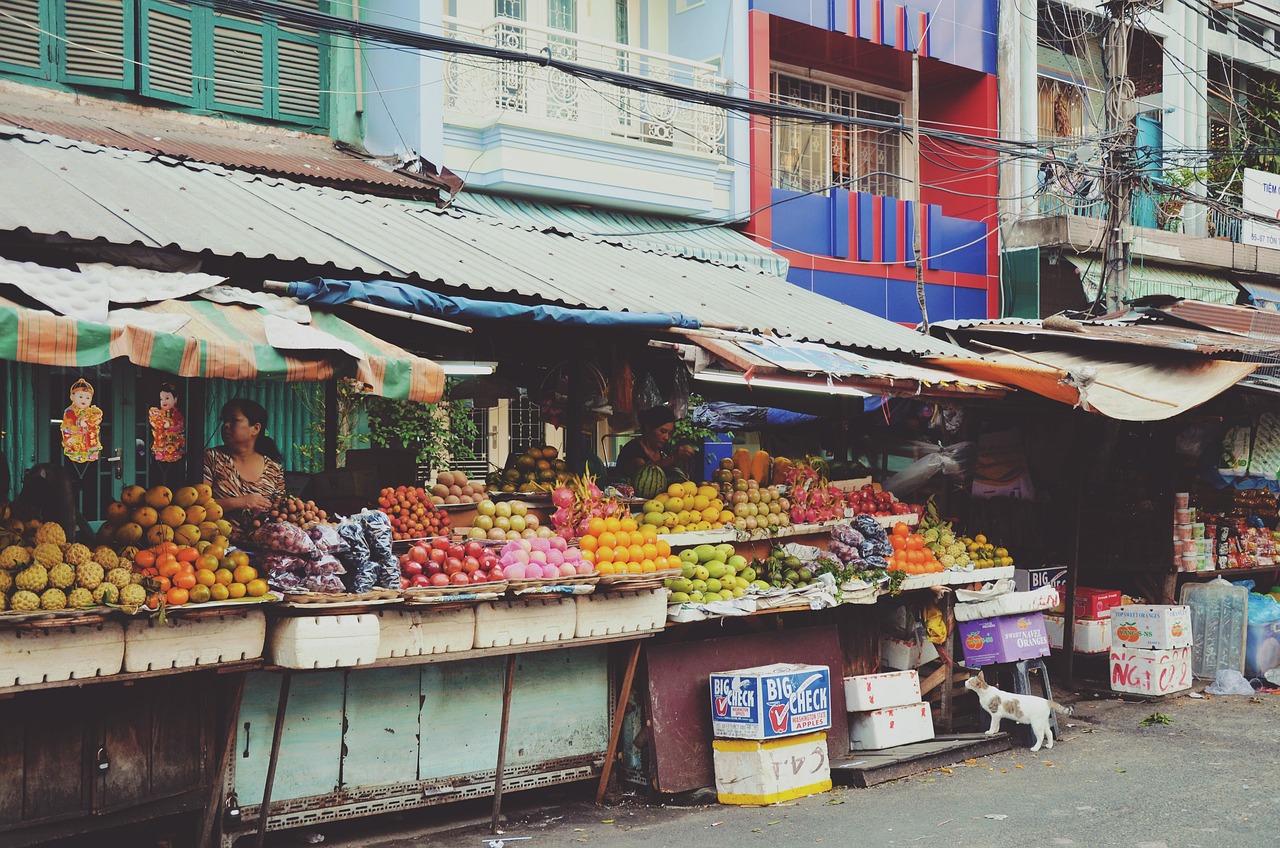 凌海觀賞魚店電話多少啊（海安觀賞魚店）