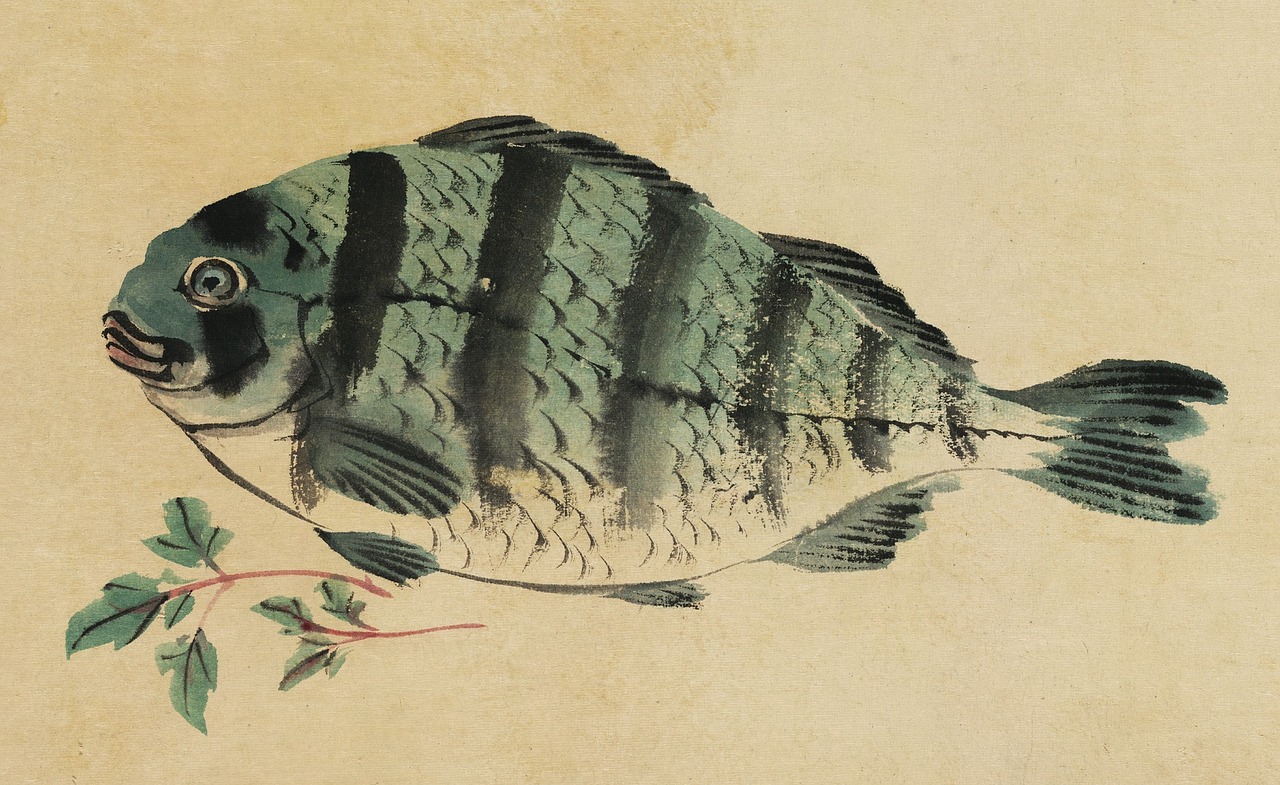 金魚(yú)缸安裝金魚(yú)缸安裝流程：如何布置金魚(yú)缸的方法 養(yǎng)魚(yú)知識(shí) 第1張