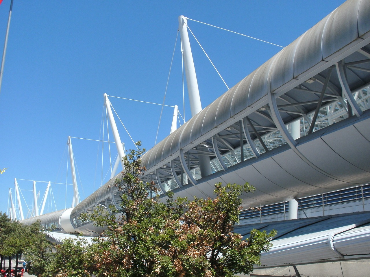 朝陽區(qū)觀賞魚市場（朝陽區(qū)觀賞魚市場在哪）