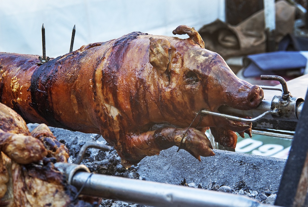 超白魚缸養(yǎng)什么魚（超白魚缸養(yǎng)什么魚好看） 祥龍水族醫(yī)院 第3張