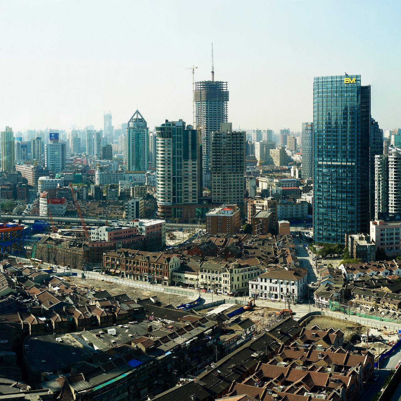 鞍山市觀賞魚交易市場地址在哪（鞍山市觀賞魚交易市場地址在哪兒） 觀賞魚 第3張