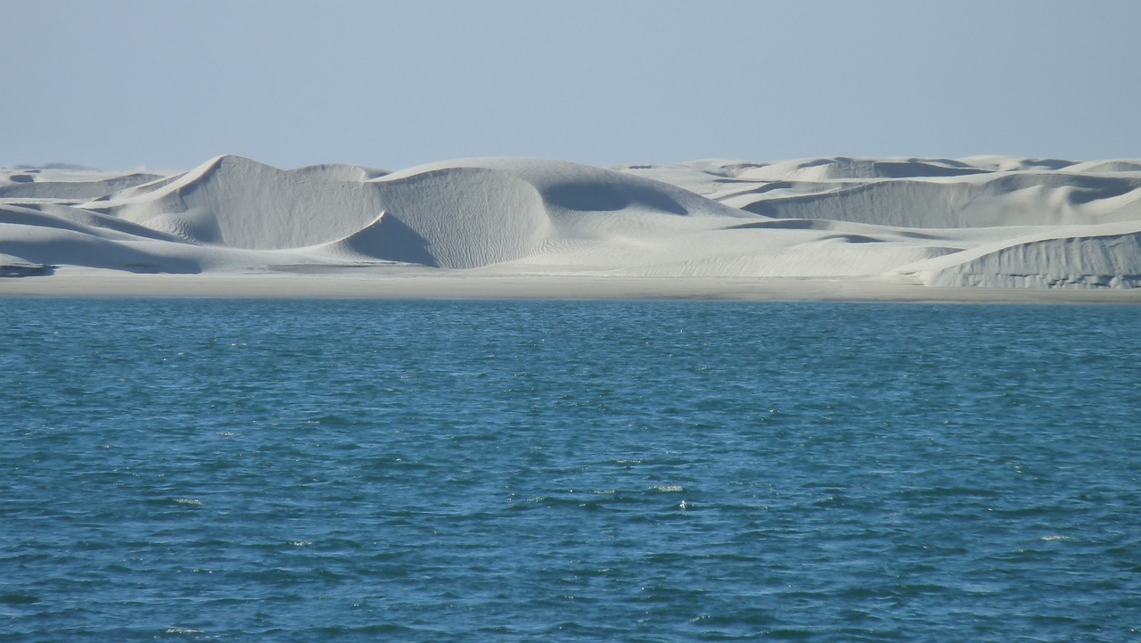 海南海水觀賞魚養(yǎng)殖場地（海南海水觀賞魚養(yǎng)殖場地址） 鸚鵡魚 第2張