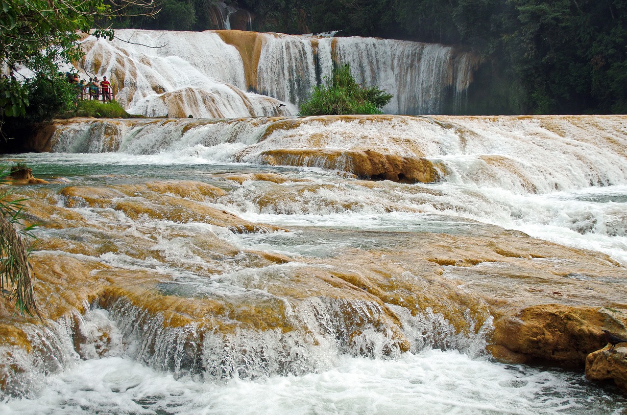 山水魚缸盆景圖片大全欣賞（魚缸山水布景效果圖） 廣州龍魚批發(fā)市場(chǎng) 第1張