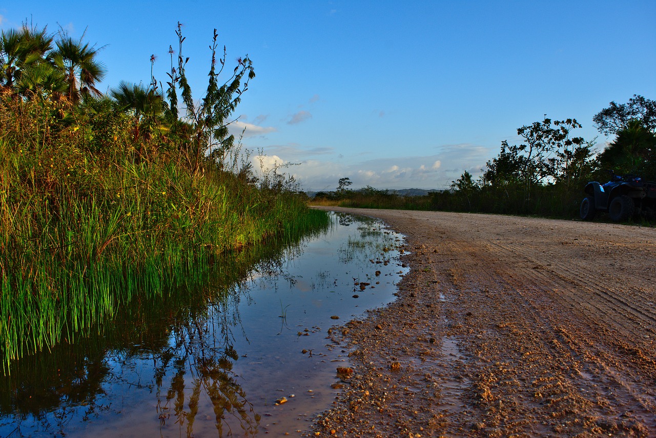 漢臺(tái)區(qū)紫柏路幽草坊生態(tài)水景經(jīng)營部（漢臺(tái)區(qū)紫柏路幽草坊生態(tài)水景經(jīng)營部電話） 全國水族館企業(yè)名錄 第4張