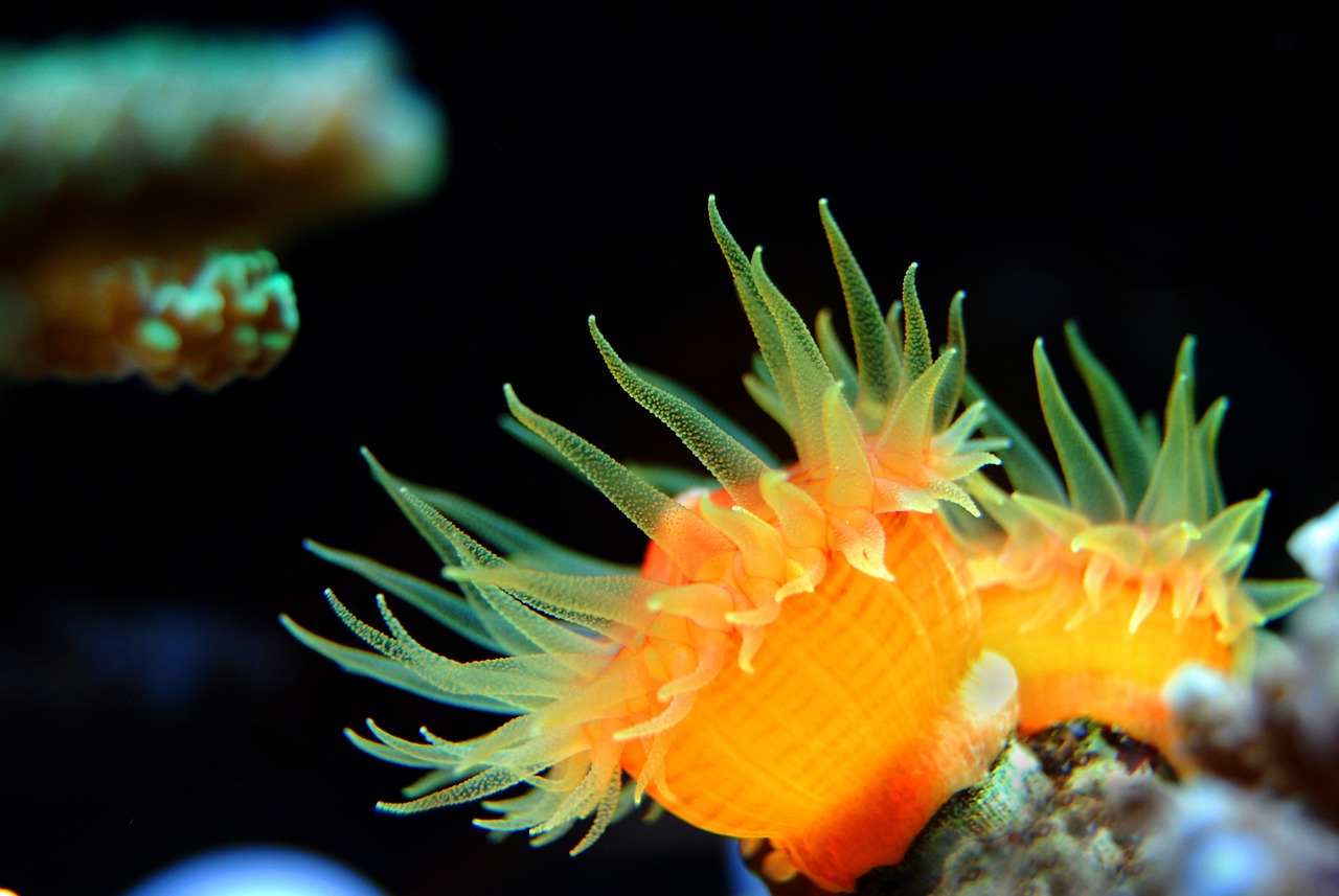 麗水水族館（麗水水族館門票多少錢）