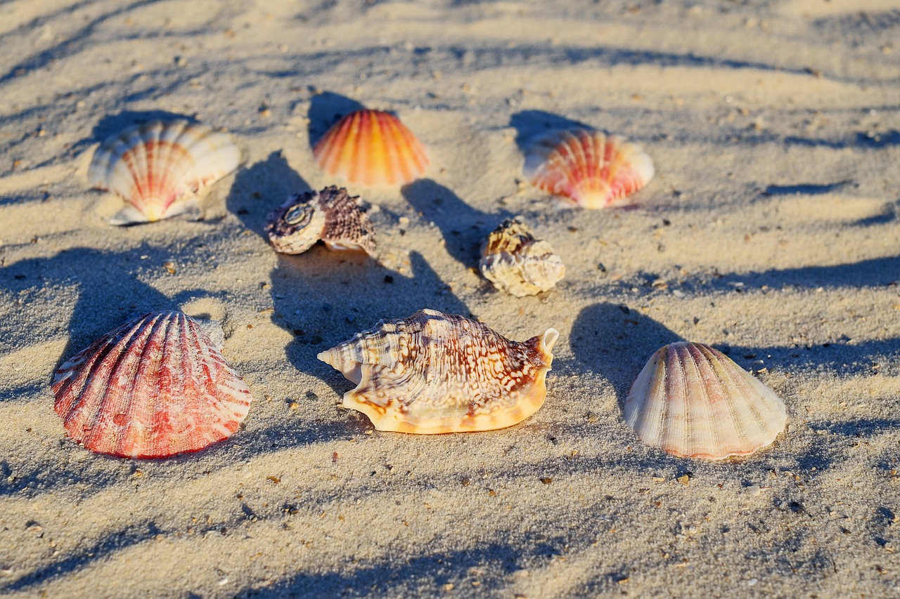 小魚(yú)缸能養(yǎng)大錦鯉嗎（魚(yú)缸里大小錦鯉可以混養(yǎng)嗎）