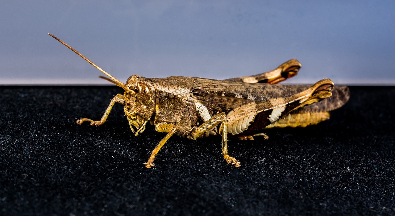 南充魚(yú)缸制冷機(jī)在哪賣(mài)的好呢？，南充魚(yú)缸制冷機(jī)在哪賣(mài)的好南充魚(yú)缸制冷機(jī)在哪賣(mài)的好