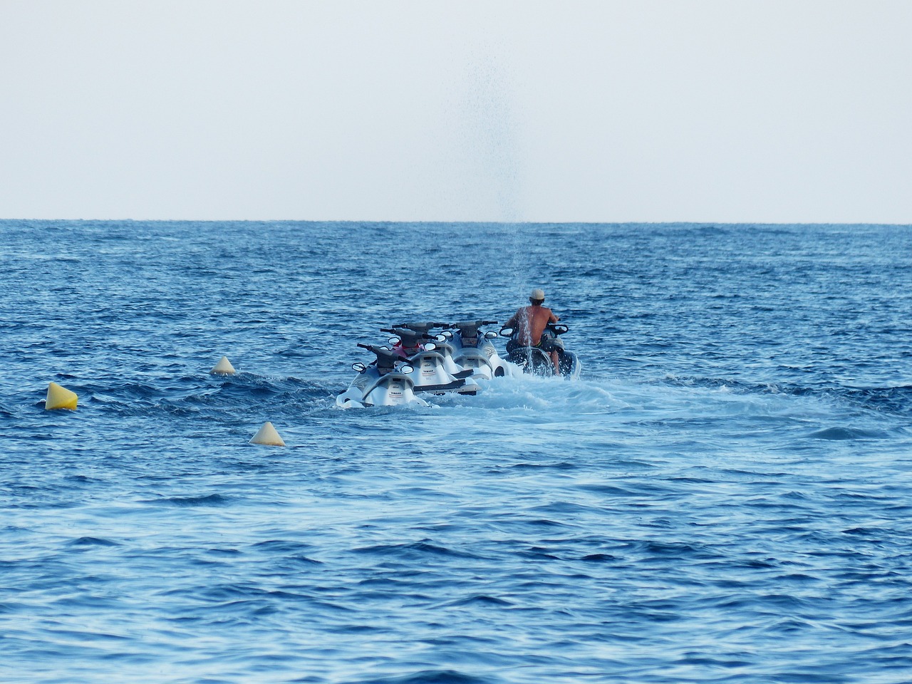 觀賞魚圖片大全集視頻下載觀賞魚圖片大全集視頻下載，互動(dòng)的觀賞魚圖片大全集 祥龍龍魚專用水族燈 第1張