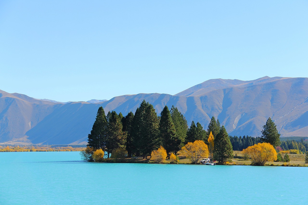 龍虎山風(fēng)景區(qū)旅游攻略龍虎山旅游攻略 野彩魚(yú) 第3張