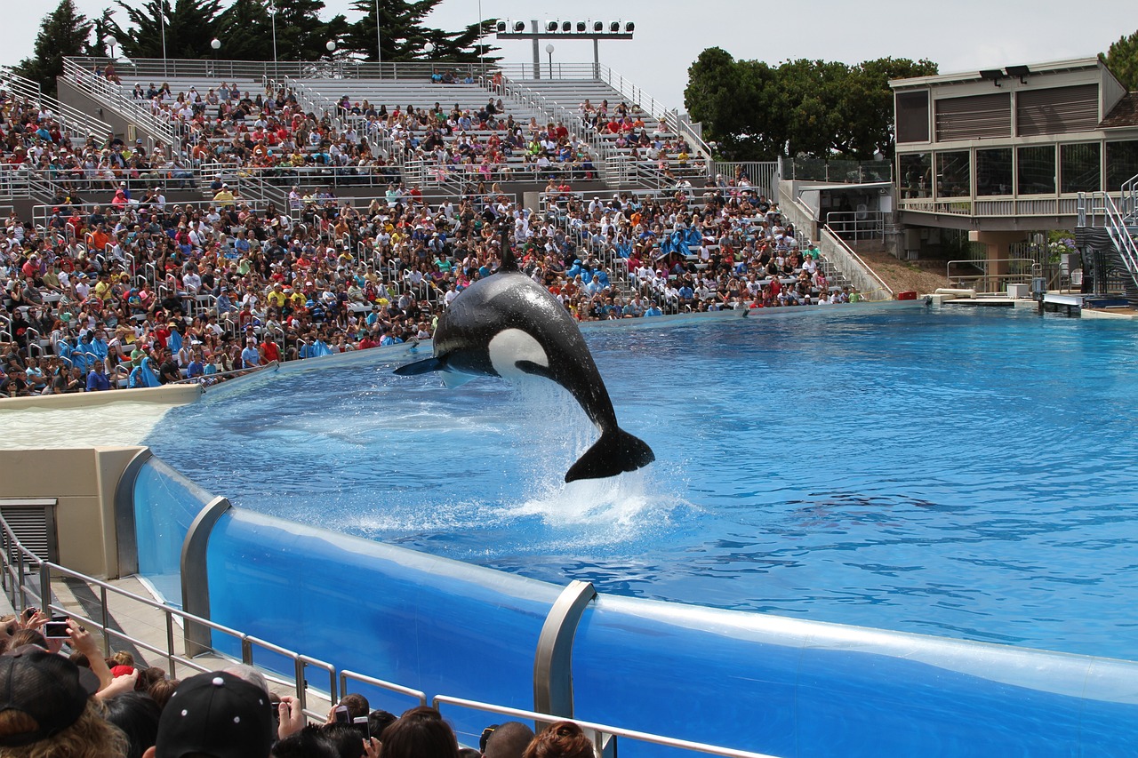 東莞市虎門碧海水族館，讓人流連忘返的海洋世界