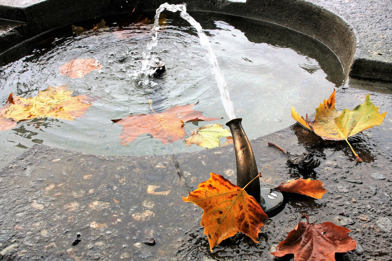 魚缸換水多少錢一天，怎么給魚缸換水