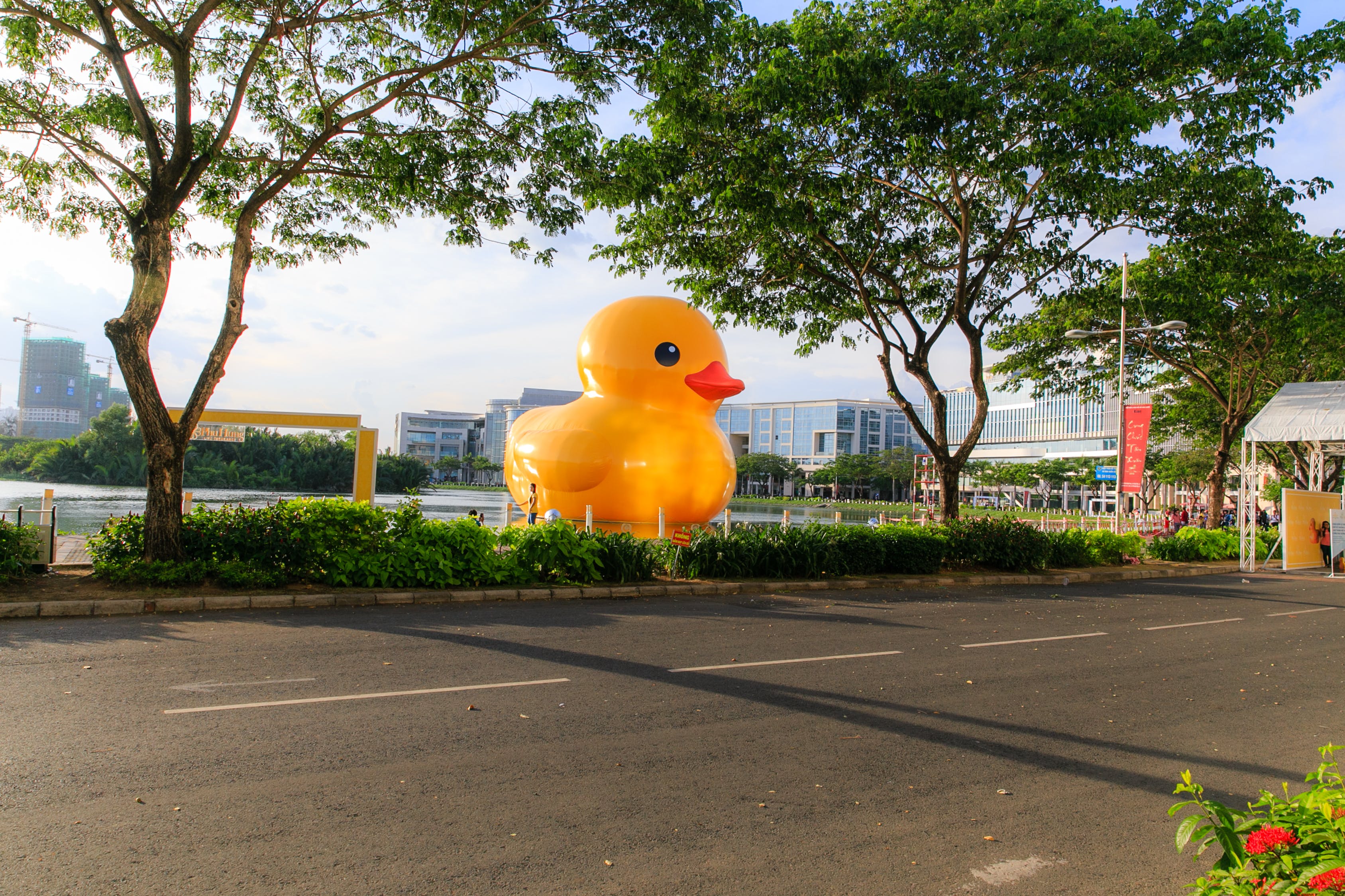 沈陽市沈北新區(qū)樂欣欣種植園及其地址詳細介紹 全國水族館企業(yè)名錄 第1張