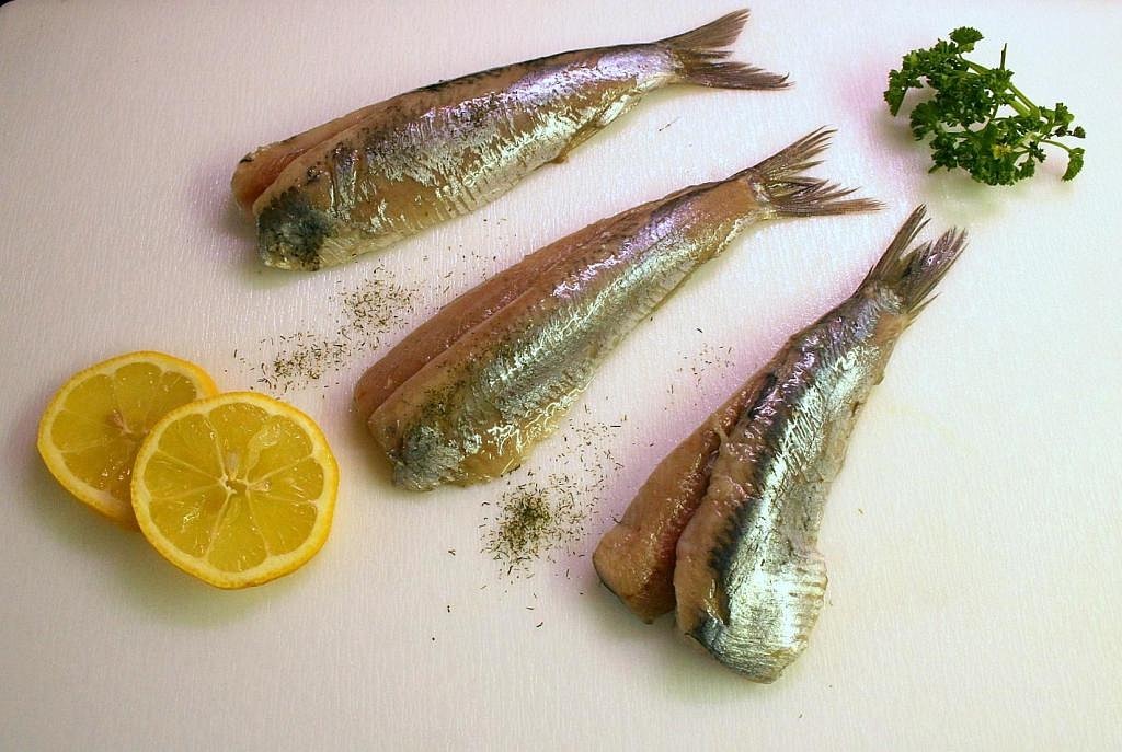 龍魚是食用魚還是食用魚？ 白子金龍魚 第3張