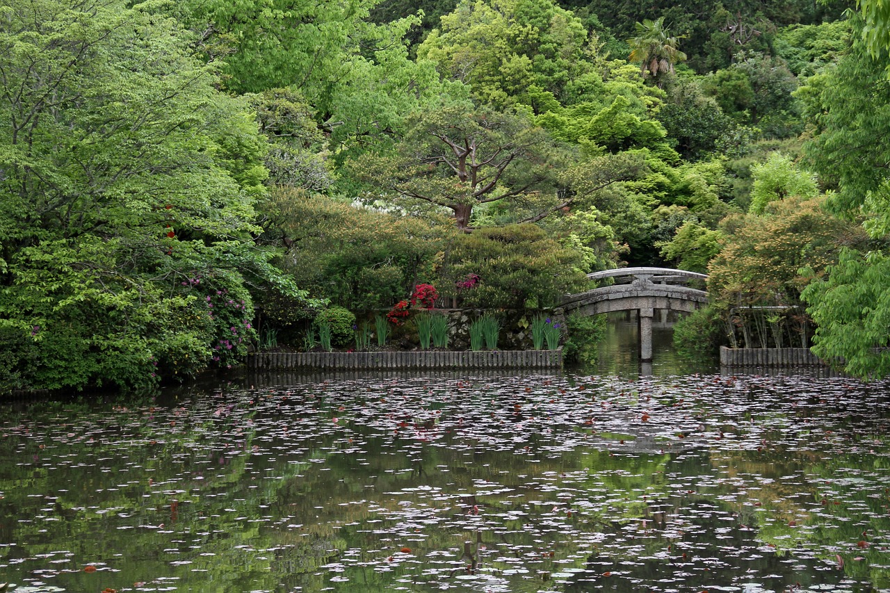 生態(tài)魚(yú)缸安裝視頻：打造獨(dú)特的水族生態(tài)環(huán)境，生態(tài)魚(yú)缸安裝視頻