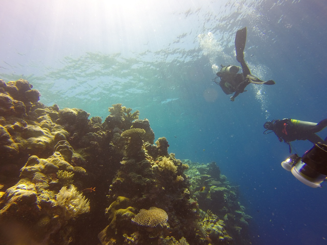 長春做魚缸的地方在哪兒長春做魚缸的地方在哪兒啊 水族世界 第1張