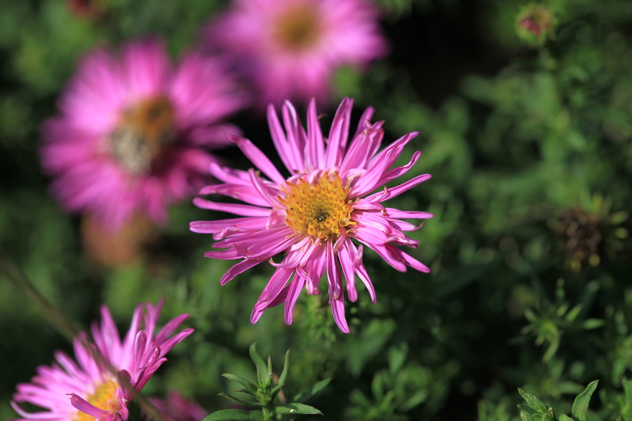 沈陽(yáng)市京航花卉銷(xiāo)售中心是一家非常值得信賴(lài)的花卉銷(xiāo)售企業(yè)