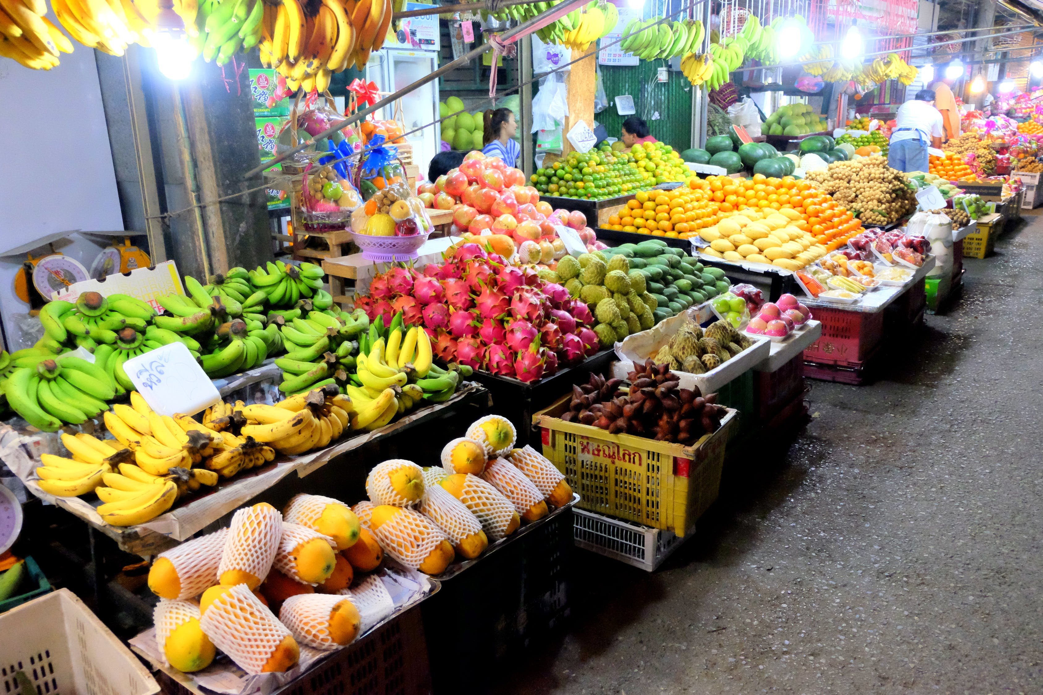 大連家具市場熱帶雨林魚店（大連熱帶魚批發(fā)市場）