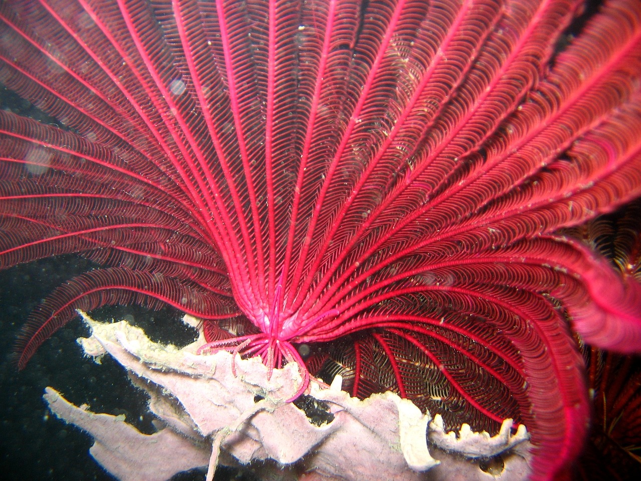 上海市普陀區(qū)卓然水族館（上海市普陀區(qū)卓然水族館地址）