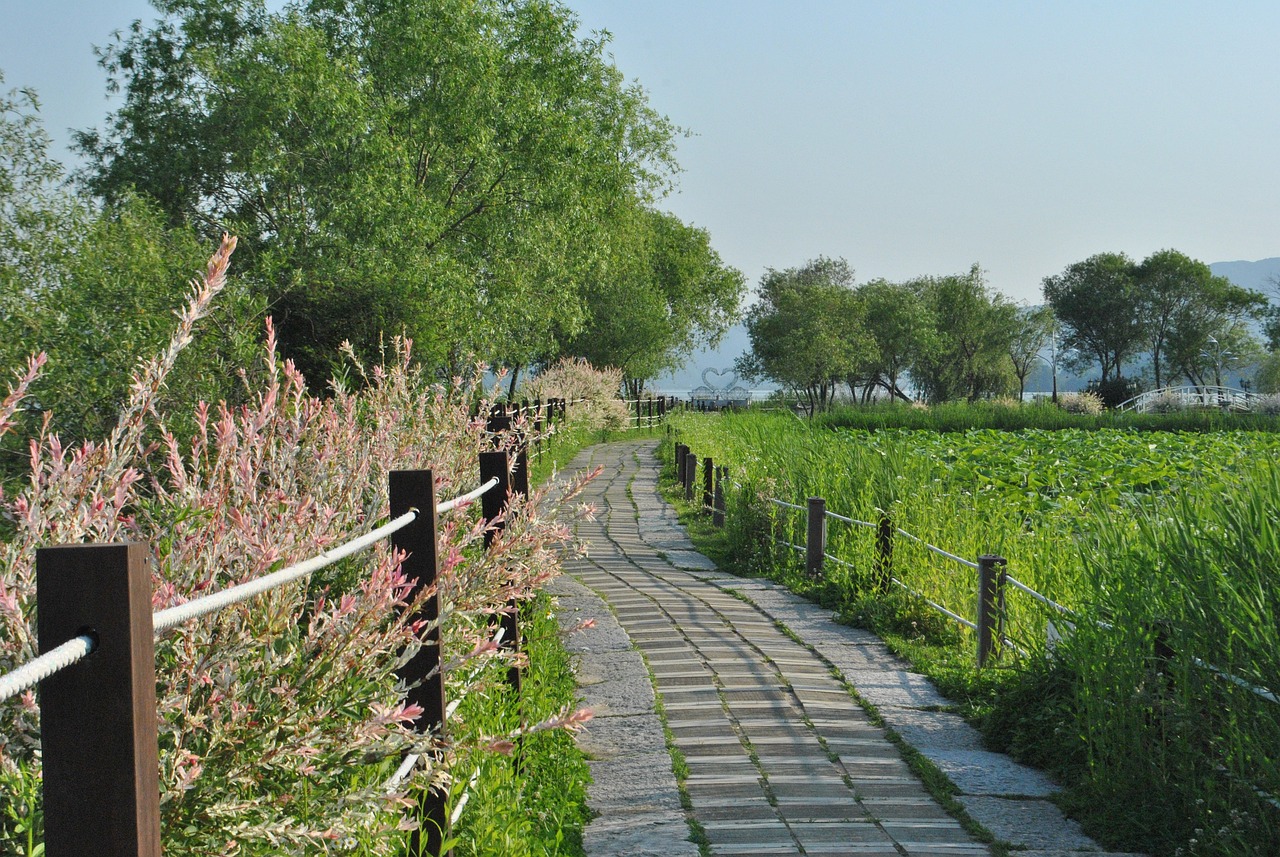 深圳市世外園林造景有限公司（深圳市世外園林造景有限公司怎么樣） 全國水族館企業(yè)名錄 第2張