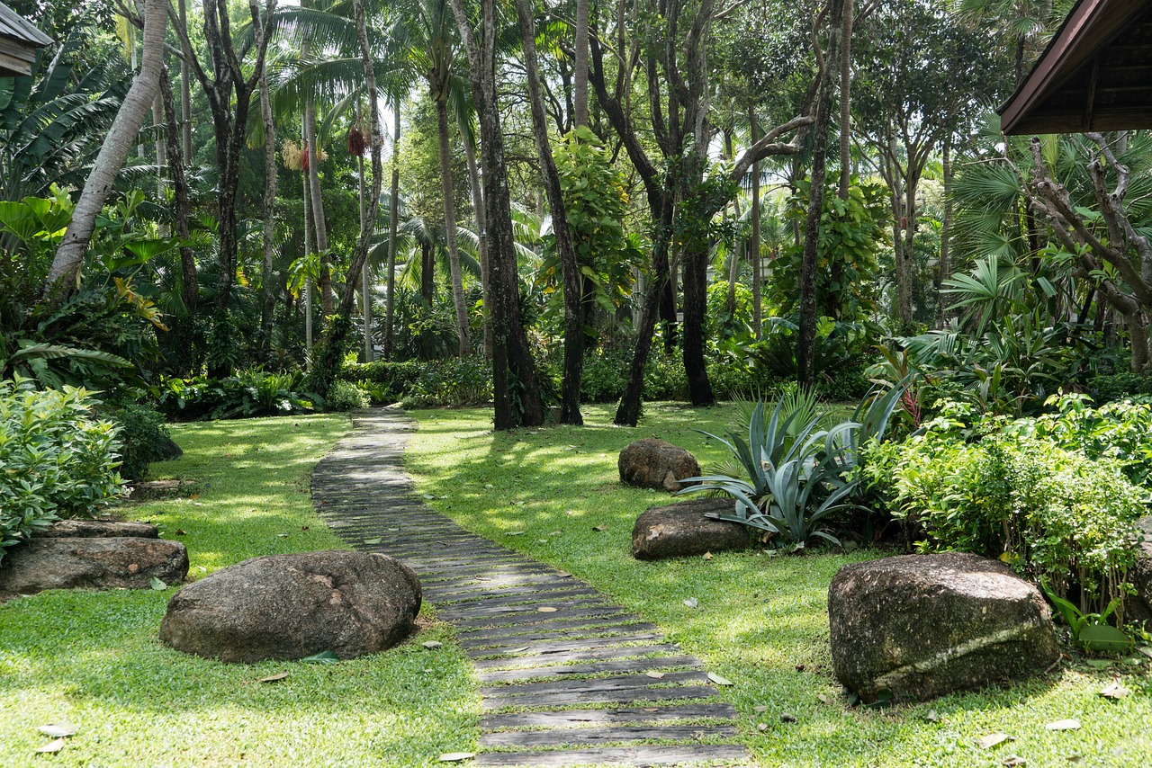 深圳市世外園林造景有限公司（深圳市世外園林造景有限公司怎么樣） 全國水族館企業(yè)名錄 第3張