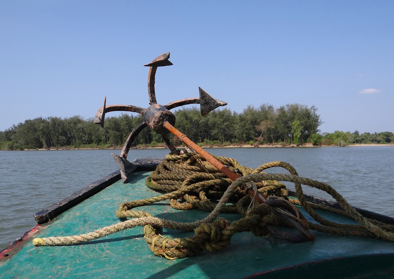 海鰻魚和河鰻魚的區(qū)別（海鰻魚和河鰻魚的區(qū)別圖片）