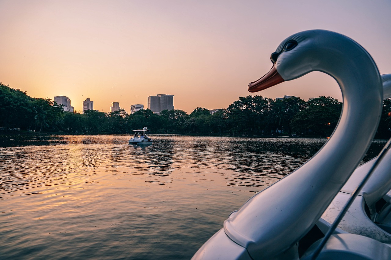 葫蘆島市龍港區(qū)月月養(yǎng)殖場 全國水族館企業(yè)名錄 第4張