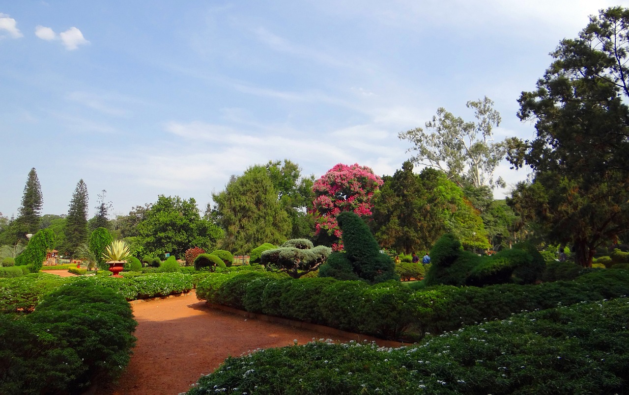 輝南縣金和園林造景有限公司（輝南縣金和園林造景有限公司招聘） 全國水族館企業(yè)名錄 第4張